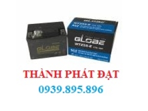 ẮC QUY GLOBE WTZ5SE (12V-4AH)